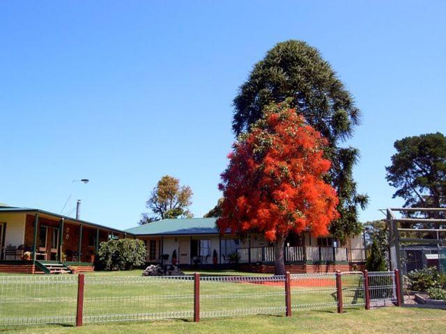 Newmerella Snowy River Homestead מראה חיצוני תמונה