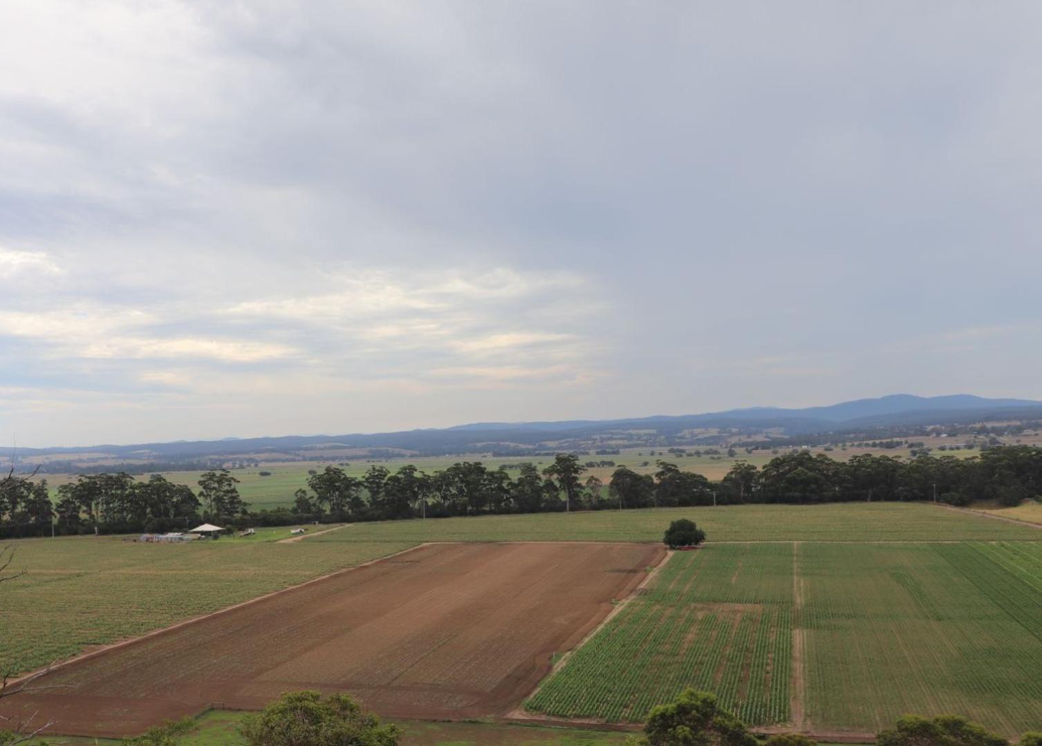 Newmerella Snowy River Homestead מראה חיצוני תמונה
